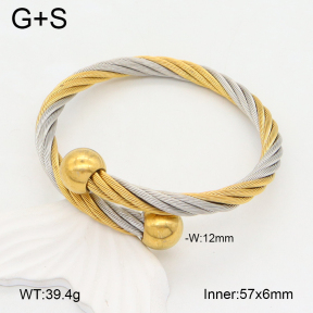 2BA202268abol-387  Stainless Steel Bangle