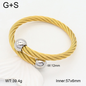 2BA202269vbnl-387  Stainless Steel Bangle