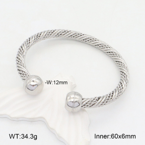 2BA202270vbll-387  Stainless Steel Bangle