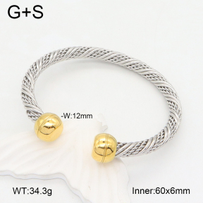 2BA202271bbml-387  Stainless Steel Bangle