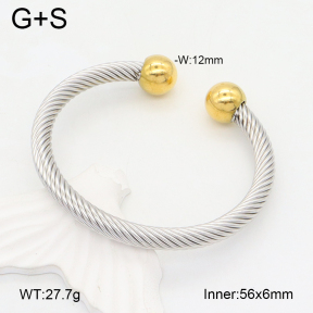 2BA202273bbml-387  Stainless Steel Bangle