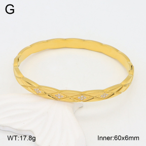 2BA402388vhov-328  Stainless Steel Bangle