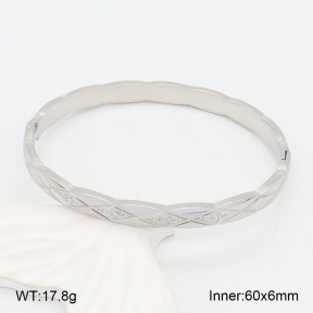 2BA402389vhnv-328  Stainless Steel Bangle