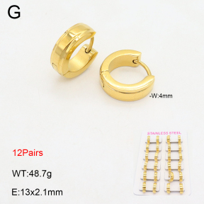 2E2006361alka-387  Stainless Steel Earrings