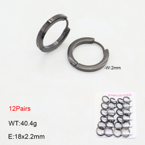 2E2006362akia-387  Stainless Steel Earrings