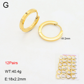 2E2006363akia-387  Stainless Steel Earrings