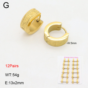 2E2006364alka-387  Stainless Steel Earrings