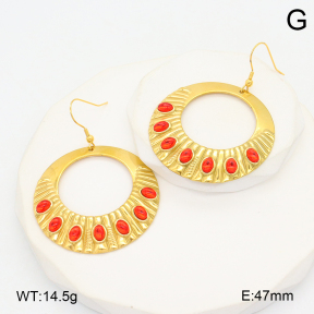 2E4004556bhva-355  Stainless Steel Earrings