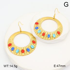 2E4004557bhva-355  Stainless Steel Earrings