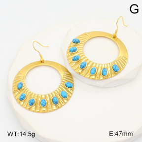 2E4004558bhva-355  Stainless Steel Earrings