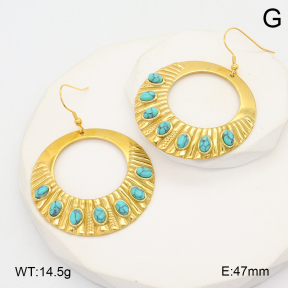 2E4004559bhva-355  Stainless Steel Earrings