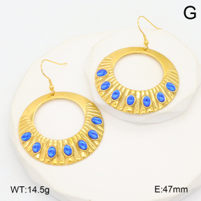 2E4004560bhva-355  Stainless Steel Earrings