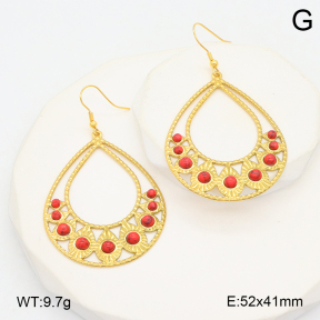 2E4004562bhva-355  Stainless Steel Earrings