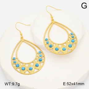 2E4004563bhva-355  Stainless Steel Earrings