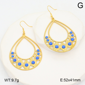 2E4004564bhva-355  Stainless Steel Earrings