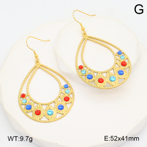 2E4004565bhva-355  Stainless Steel Earrings