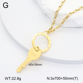 2N2007128ahlv-669  Stainless Steel Necklace