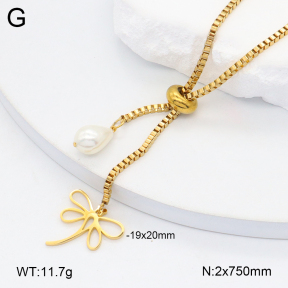 2N3002959bbov-350  Stainless Steel Necklace