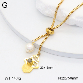 2N3002960bbov-350  Stainless Steel Necklace