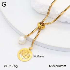 2N3002961vbnl-350  Stainless Steel Necklace