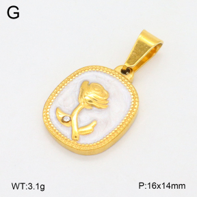 2P3000720aajl-355  Stainless Steel Pendant