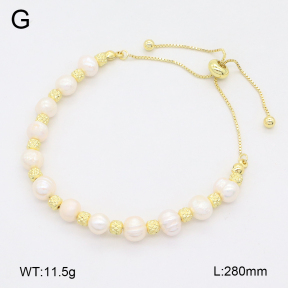 2B3004214ahlv-737  Stainless Steel Bracelet