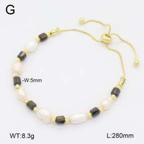 2B3004216bhia-737  Stainless Steel Bracelet