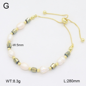 2B3004219bhia-737  Stainless Steel Bracelet