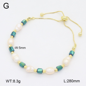 2B3004221bhia-737  Stainless Steel Bracelet