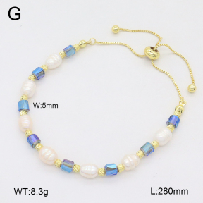 2B3004222bhia-737  Stainless Steel Bracelet