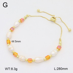 2B3004223bhia-737  Stainless Steel Bracelet