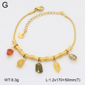 2B4005239vhhl-669  Stainless Steel Bracelet