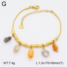 2B4005240vhhl-669  Stainless Steel Bracelet