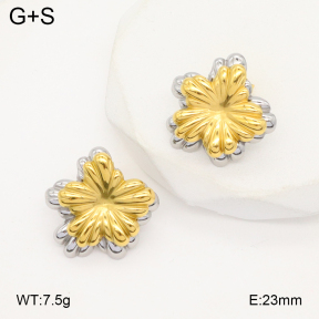 2E2006368bhbl-669  Stainless Steel Earrings