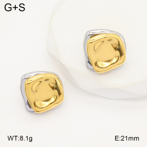 2E2006369bhbl-669  Stainless Steel Earrings