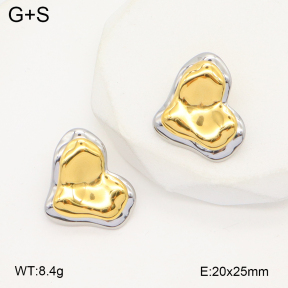 2E2006370bhbl-669  Stainless Steel Earrings