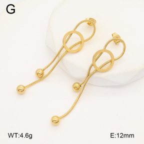 2E2006372bbml-480  Stainless Steel Earrings