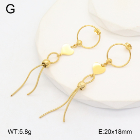 2E2006374bbml-480  Stainless Steel Earrings