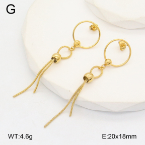 2E2006375bbml-480  Stainless Steel Earrings