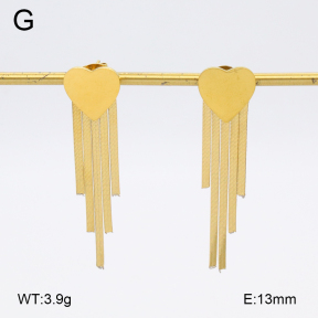 2E2006376vbmb-480  Stainless Steel Earrings