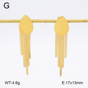 2E2006377vbmb-480  Stainless Steel Earrings