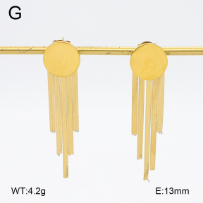 2E2006379vbmb-480  Stainless Steel Earrings