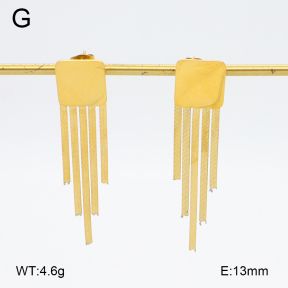 2E2006380vbmb-480  Stainless Steel Earrings