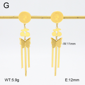 2E2006381bbml-480  Stainless Steel Earrings