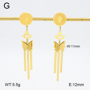 2E2006382bbml-480  Stainless Steel Earrings