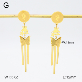 2E2006383bbml-480  Stainless Steel Earrings