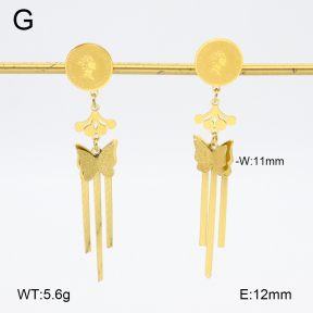 2E2006384bbml-480  Stainless Steel Earrings