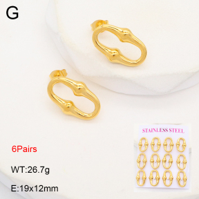 2E2006385aivb-436  Stainless Steel Earrings