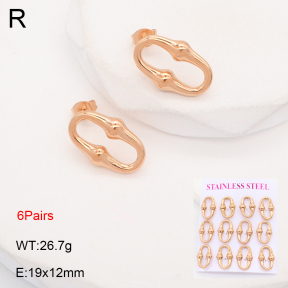 2E2006386biib-436  Stainless Steel Earrings