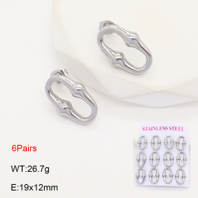 2E2006387vhmv-436  Stainless Steel Earrings